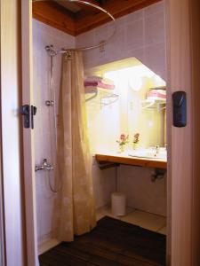 bagno con doccia, lavandino e specchio di la glycine a Asnelles