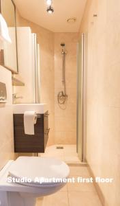 a bathroom with a shower and a toilet and a sink at Hotel de Vischpoorte, centrum Deventer en aan de IJssel in Deventer +22 photos
