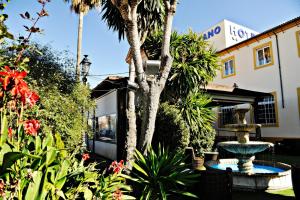 Zahrada ubytování Hotel Lozano