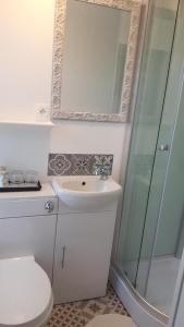 MontpinchonにあるChambres d'Hôtes La Clef des Champsのバスルーム(トイレ、洗面台、シャワー付)