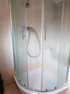 a shower with a glass door in a bathroom at TULPIKA 13 in Moravske-Toplice +27 photos