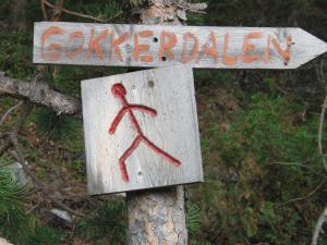 Fotografie z fotogalerie ubytování Strind Gard, Visdalssetra v destinaci Boverdalen
