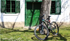 Jazda na bicykli v okolí ubytovania Wein&Speiz Fogadó