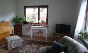 uma sala de estar com um sofá, uma mesa e uma televisão em Casa la Collina delle Ginestre em Eberbach