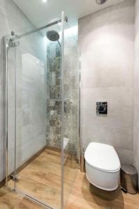a bathroom with a toilet and a shower at Apartament w centrum Krakowa Ariańska 4 in Krakow