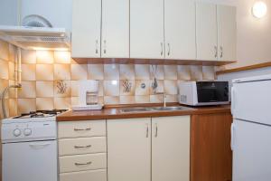 Kuchyňa alebo kuchynka v ubytovaní Apartment Puh