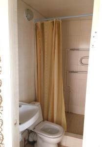 ヴィチャゼヴォにあるTatiana Guest Houseのバスルーム(トイレ、洗面台、シャワー付)