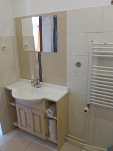 ein Bad mit einem Waschbecken und einem Spiegel in der Unterkunft Zubrovica in Telgárt