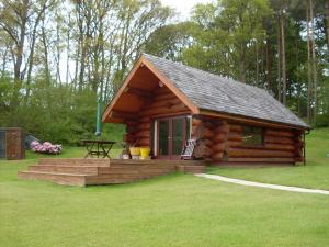 een blokhut met een picknicktafel in het gras bij lyne view, log cabin in Carlisle