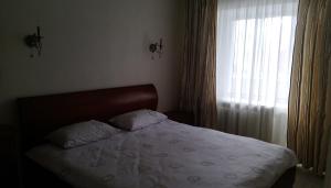 a bed with two pillows and a window in a bedroom at Apartment on Prospiekt Pobiedy 18 in Kyiv