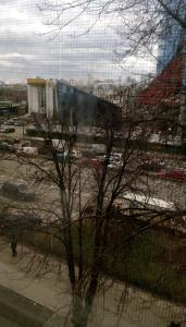 キーウにあるApartment on Prospiekt Pobiedy 18の窓から市街の景色を望む木