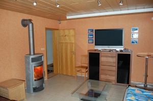 a living room with a fireplace and a television at Ferienwohnung Grosso in Gräfendorf