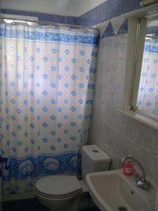 a bathroom with a toilet and a shower curtain at La Fontana in Naxos Chora