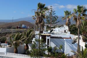 a view of a white house with palm trees at Chalet Lobo in Poris de Abona