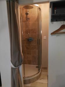 a shower with a glass door in a bathroom at Le Grenier in Les Ageux +28 photos