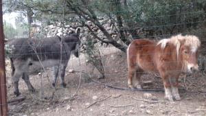 Gallery image of El Mangranar in Adzaneta +8 photos