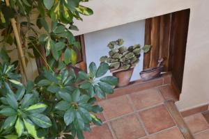 Vonkajšia záhrada v ubytovaní Hostal Toribio