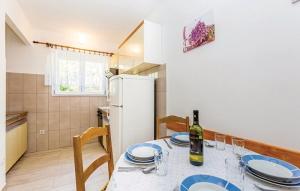 Kuchyň nebo kuchyňský kout v ubytování Apartments Zita