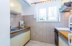 Kuchyň nebo kuchyňský kout v ubytování Apartments Zita
