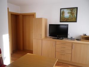 Televízia a/alebo spoločenská miestnosť v ubytovaní Apartment Tonitz