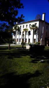 un bâtiment blanc avec des palmiers devant lui dans l'établissement Hotel Dall'Ongaro, à Ghirano