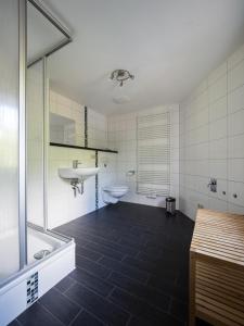 a bathroom with a toilet and a sink and a mirror at Ferienwohnung Meiselbach in Erfurt