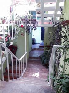 a stairway with flowers and potted plants in a building at Oaxaquita la Bella in Oaxaca City