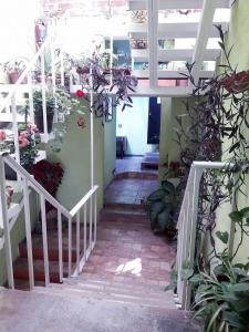 una escalera con flores y macetas en un edificio en Oaxaquita la Bella, en Oaxaca City