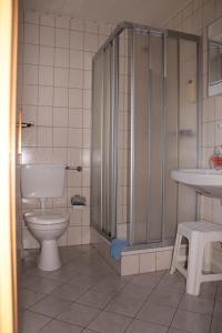 a bathroom with a toilet and a shower and a sink at Landgasthof Rademacher in Finnentrop