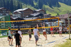 Majutusasutuse Hotel Alpenrose külastajad