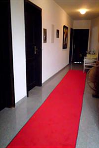 a red carpet in a living room with a red rug at Appartement St. Peter a Wimberg in Neufelden