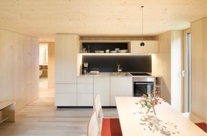 A kitchen or kitchenette at Försterhaus Mellau