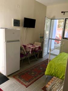 a living room with a refrigerator and a table and a television at Studio Zenap in Agios Georgios