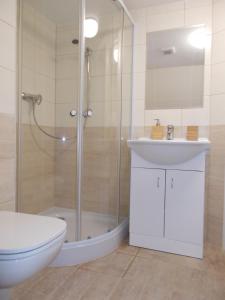 a bathroom with a shower and a toilet and a sink at Neklanova Apartments in Prague