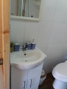 a bathroom with a white sink and a toilet at Cabaña Sonido de Mar in Pichilemu