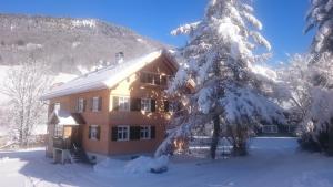 Försterhaus Mellau during the winter