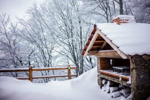 Galeriebild der Unterkunft Holiday Home Floris in Kopaonik