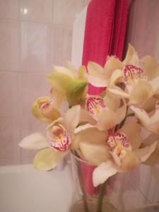 a vase of white flowers in a bathroom at Starfish House in Vila Nova de Gaia