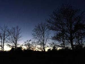 Galeriebild der Unterkunft Hotel Hvide Klit in Ålbæk