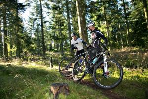 due persone che vanno in bicicletta su un sentiero nel bosco di Hotel Hvideklit ad Ålbæk