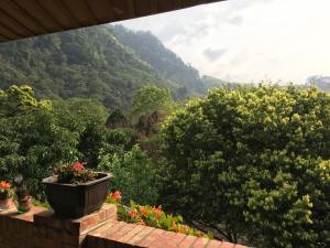 Un paisaje natural cerca de la habitación en casa particular