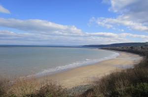 Gallery image of Summat Else B & B in New Quay +31 photos