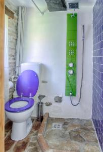 a bathroom with a purple toilet and a shower at Dominic Boutique - Atelier in Cloaşterf