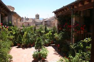 an outdoor garden with plants and flowers in pots at La Posada de Don Mariano in Pedraza-Segovia