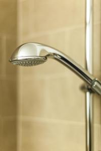 a shower head in front of a shower curtain at Apart Alpenblick in Pfunds