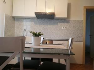 a kitchen with a table with a plant on it at Apartman Jasmin in Čatrnja