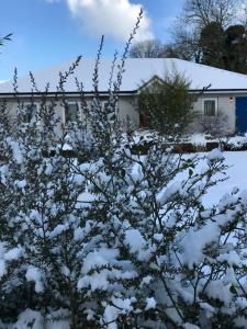 A Selection of Self Catering Holiday Homes at Kilcloon Cottages v zimě