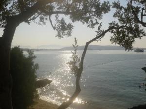 Fotografie z fotogalerie ubytování Apartments Stanko v Trogiru