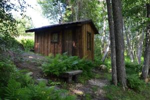 Zahrada ubytování Saia Forest House