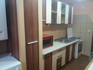 una pequeña cocina con microondas y fregadero en Apartament Viorea en Brasov